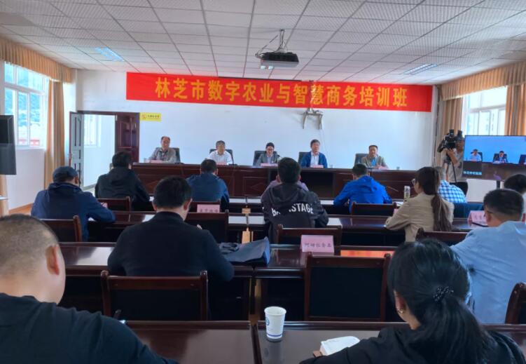 经管师生科技援藏 助力林芝“电商天路”