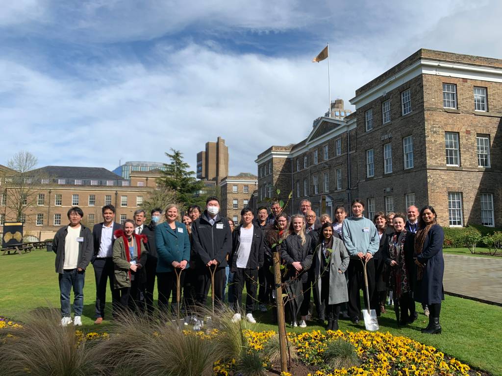 大工玉兰在英国莱斯特大学绽放