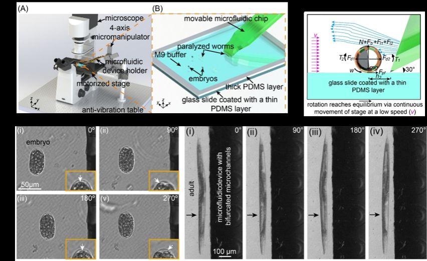 大连理工大学机器人与智能系统研究院研究成果入选《研究》2024年度最佳论文奖