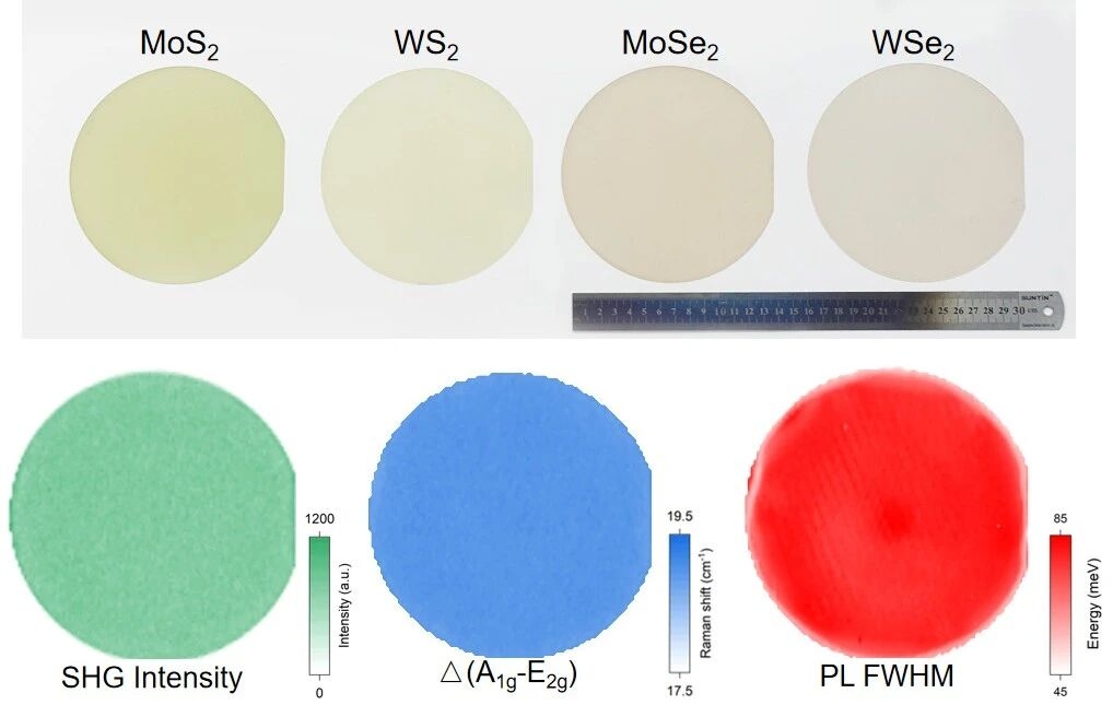 大连理工大学《科学》发表我校博士生在二维半导体领域的研究成果