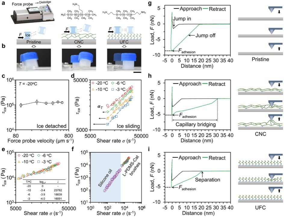 大连理工大学机械工程学院科研团队在多相态低黏表面分子结构设计领域取得新进展