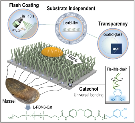 大连理工大学机械工程学院科研团队在多相态低黏表面分子结构设计领域取得新进展