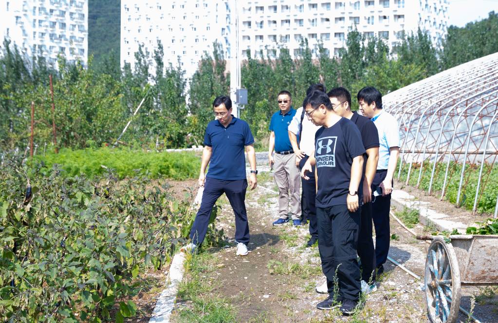 2022.09.17 校领导调研西部校区建设用地情况 (7).jpg